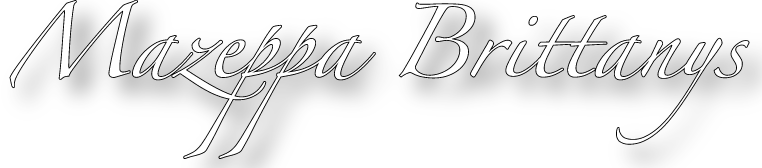Mazeppa Brittanys logo